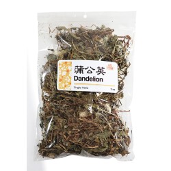 High Quality Dandelion Pu Gong Ying