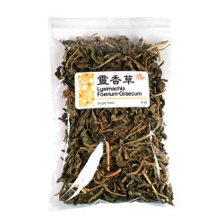High Quality Lysimachia Foenum Graecum Ling Xiang Cao