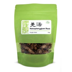 High Quality Notopterygium Root Qiang Huo